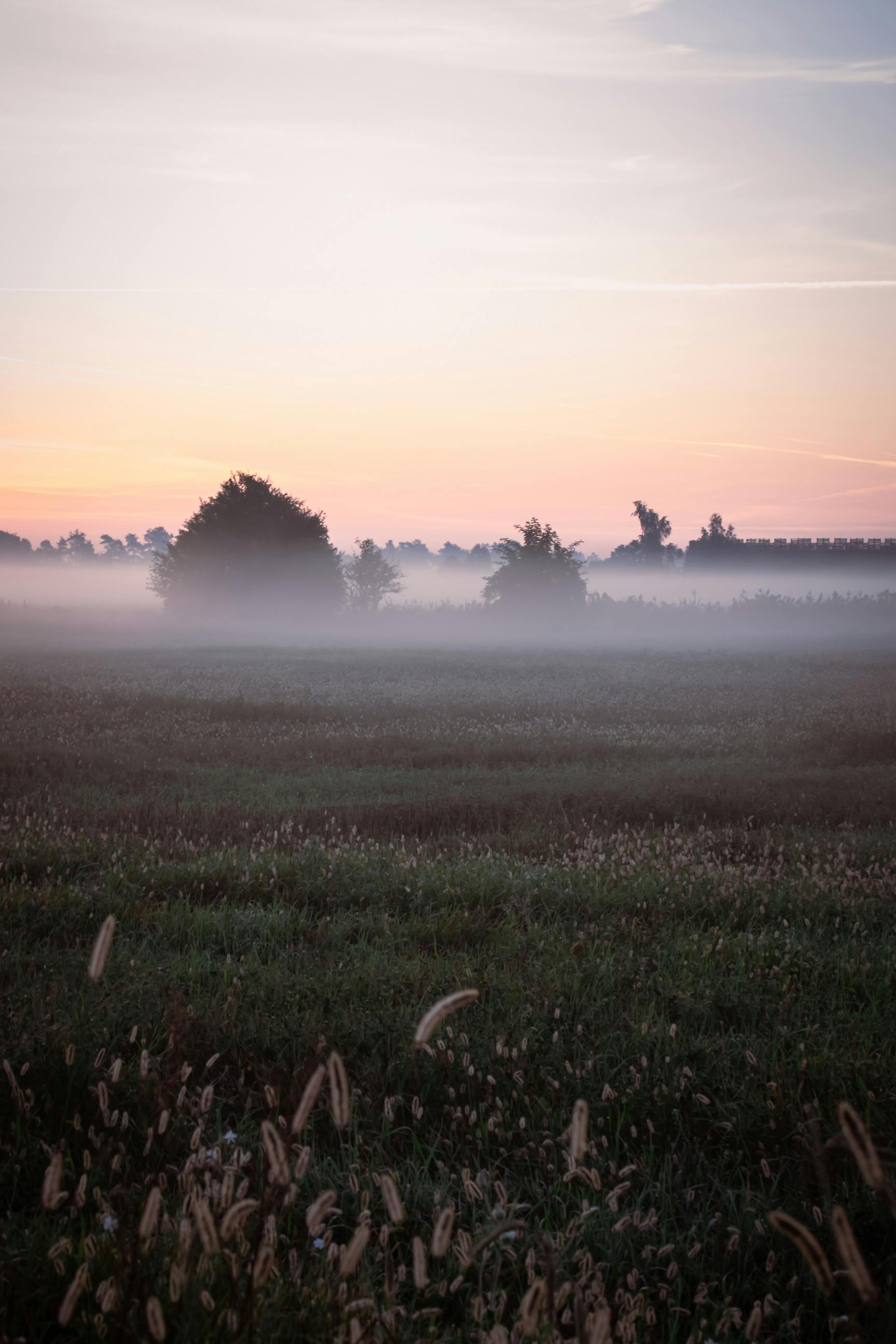 FONDO ESCRITORIO PAISAJE CAMPO AMANECER HD wallpaper