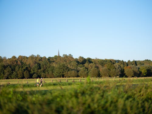 Zwei Männer joggen in der Natur