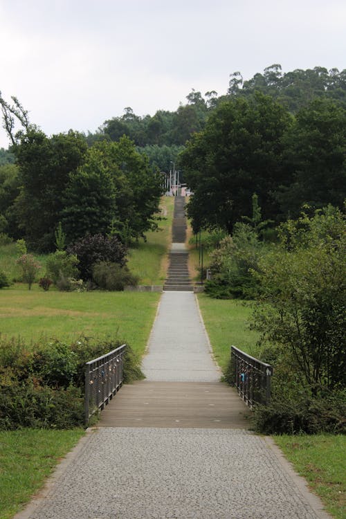 Alley with Steps through Park in Summer