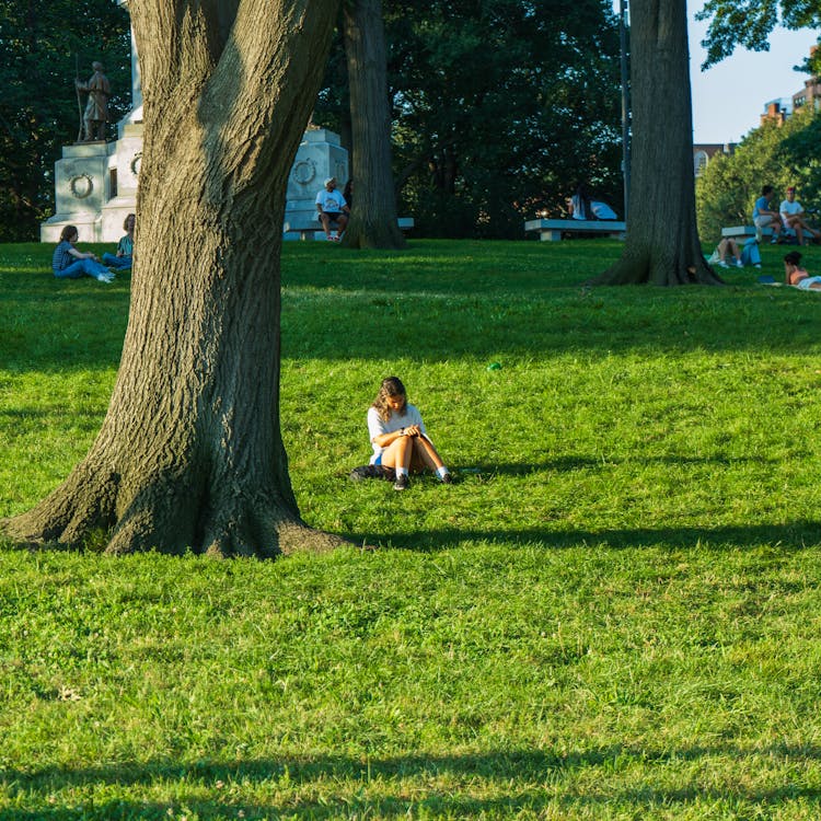 People In Park