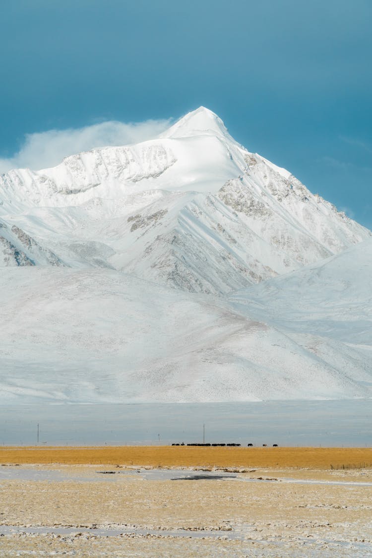 Mountain In Snow