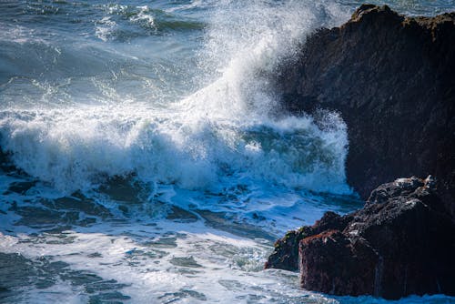 Gratis lagerfoto af bølger, hav, skum