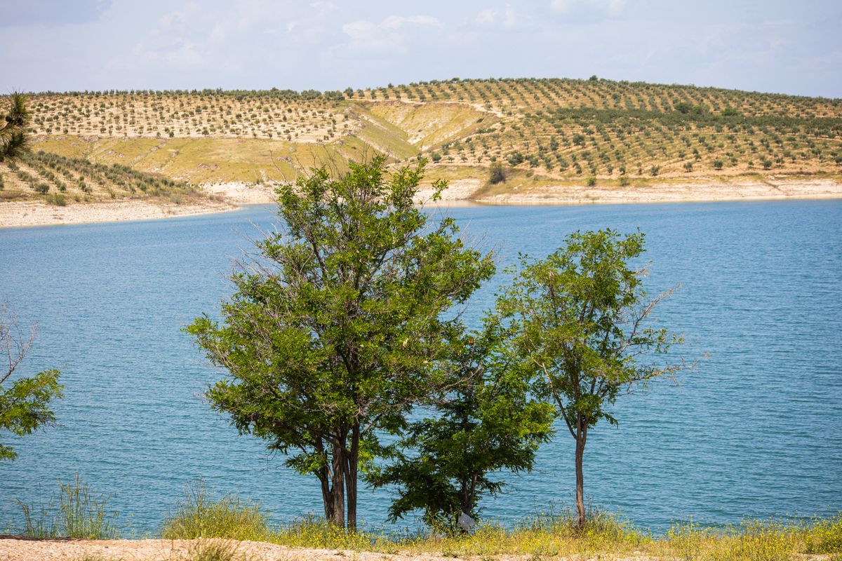 Strawberry Reservoir winter