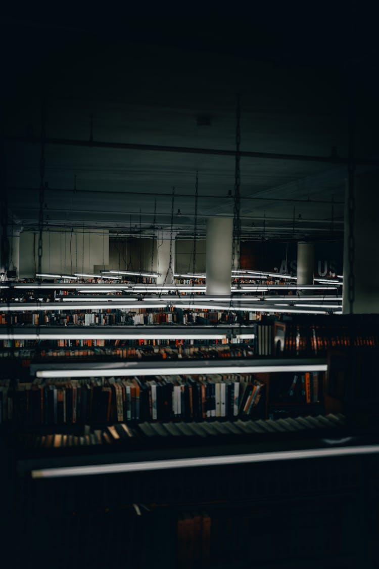 Books On Library Shelves At Night