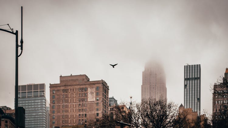 New York City Skyline With Empire State Building In Fog