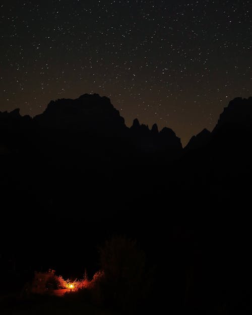 Foto profissional grátis de acampamento, árvores, campo de estrelas