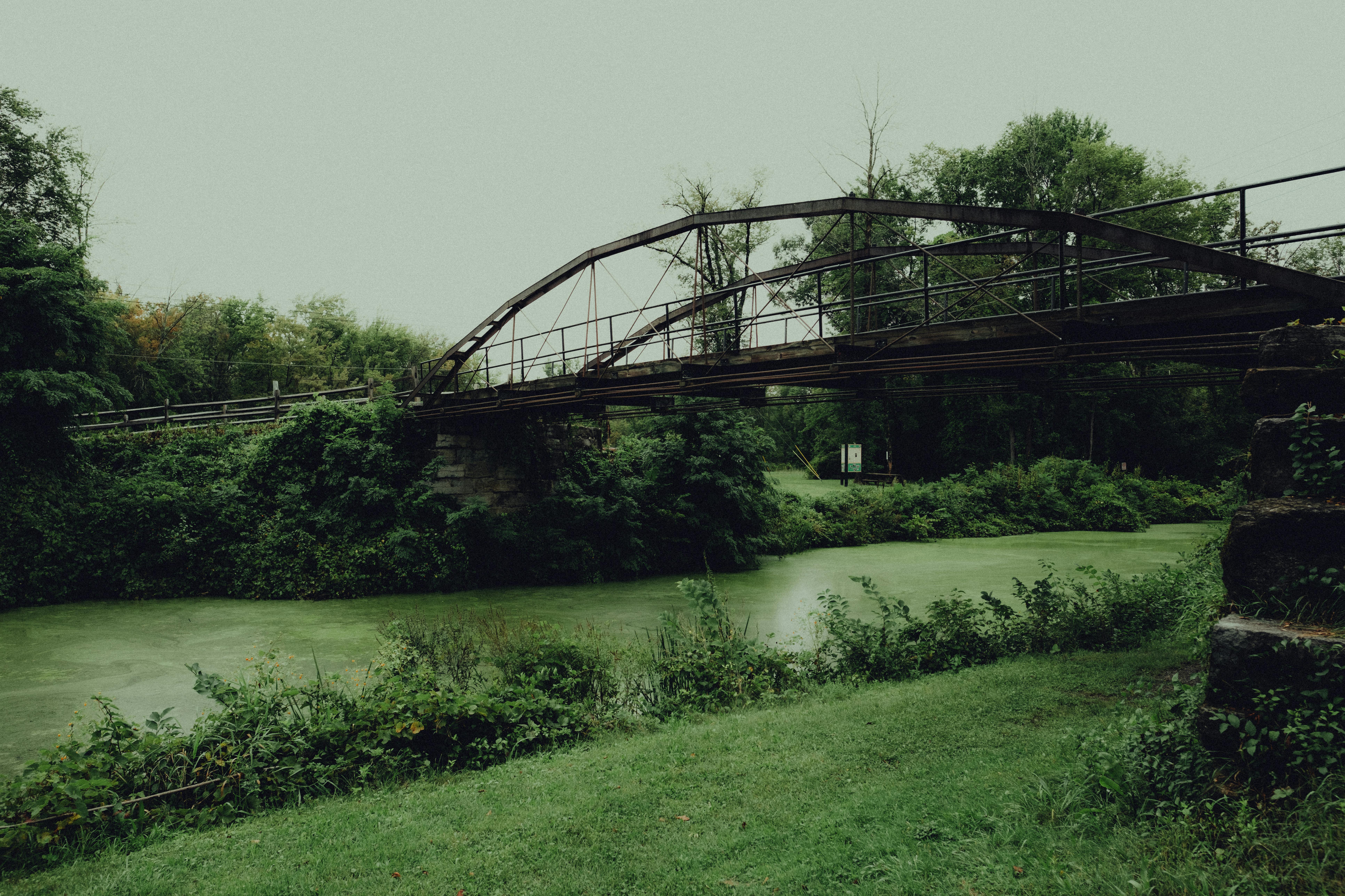 Vintage iron bridge crossing a green, overgrown riverbank under a summer sky.