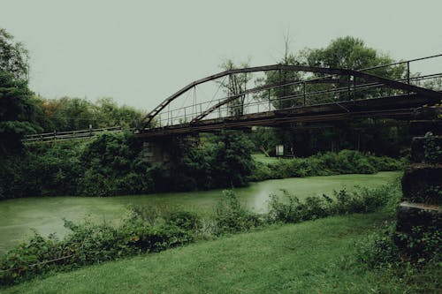 Ingyenes stockfotó bokrok, folyó, híd témában