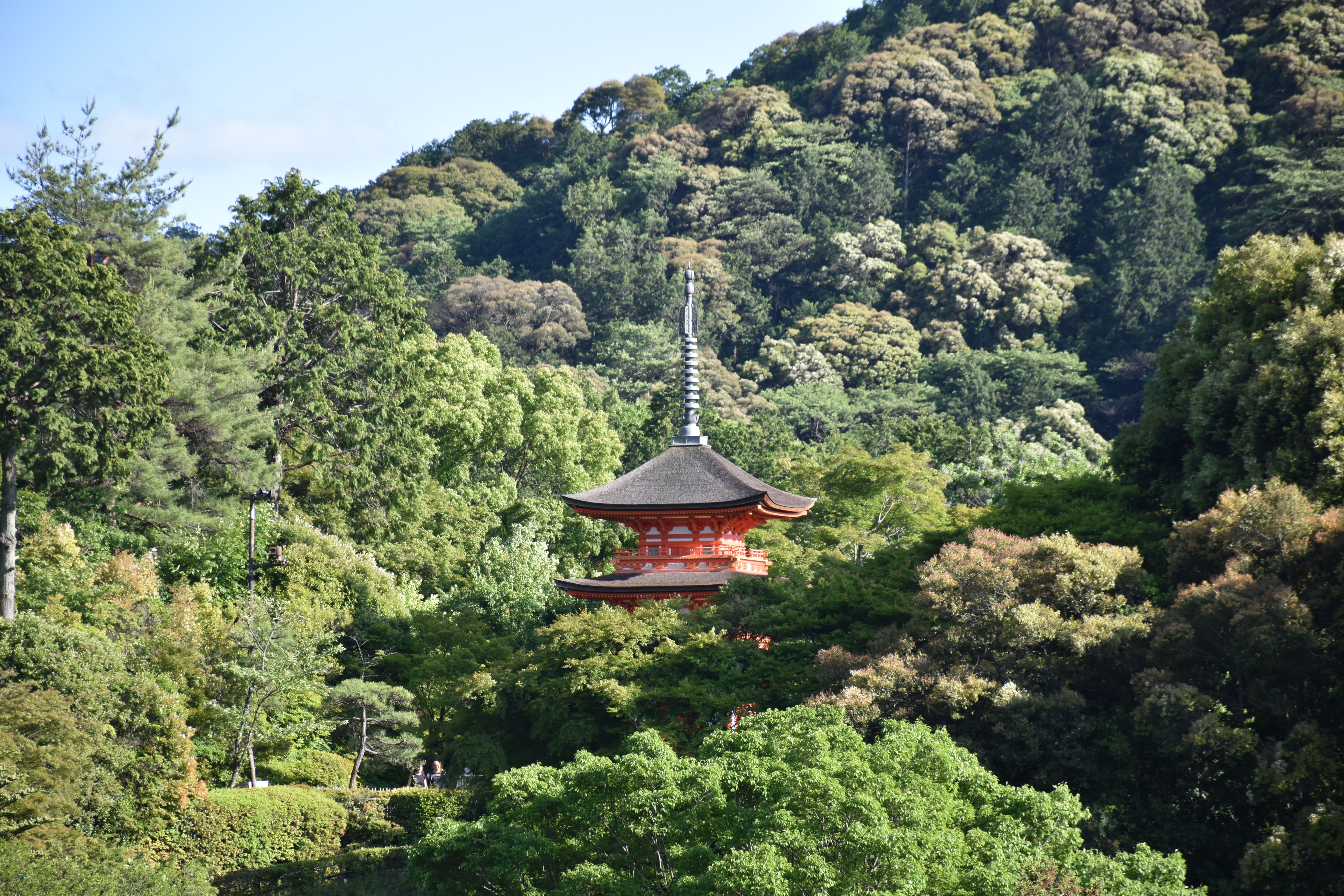 Beautiful pagoda surrounded by dense forest in Kyoto, Japan. Captures tranquility and nature's beauty.