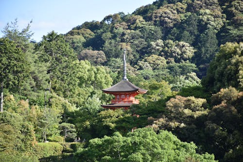 Buddhist Temple Surrounding by Forest in Kyoto