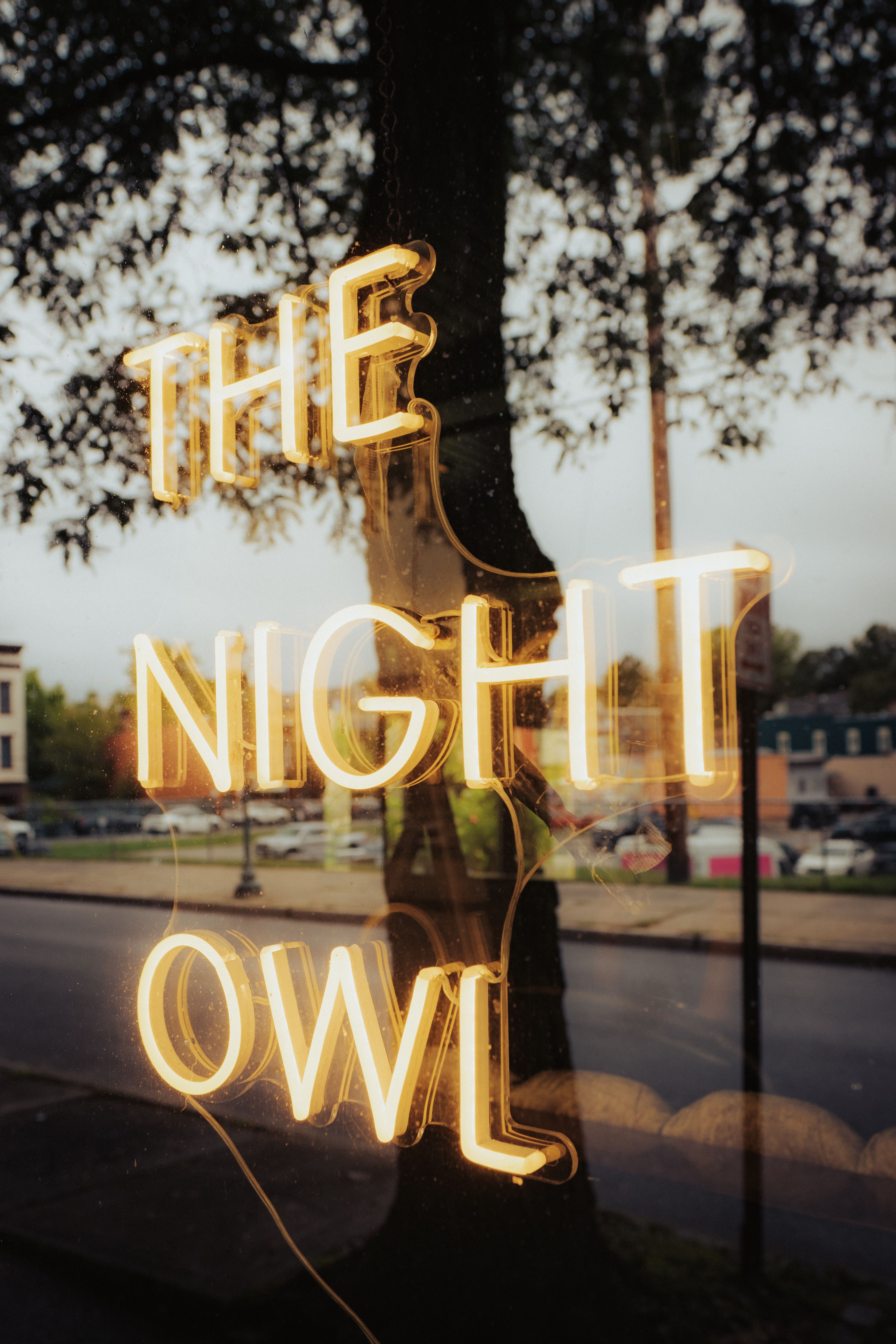 Vibrant yellow neon sign 'The Night Owl' reflecting on a glass window.