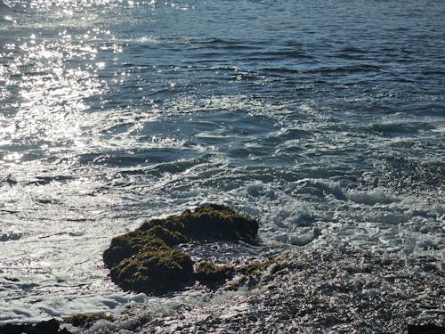 反射, 海, 海洋 的 免費圖庫相片