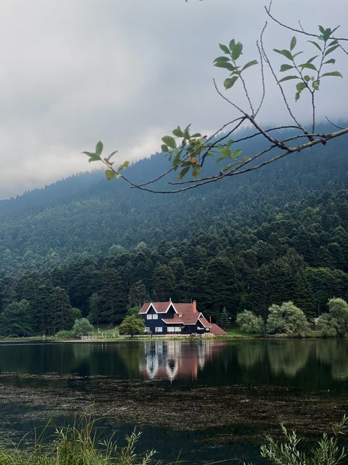 Free Scenic view of a wooden chalet by a lake, surrounded by lush forests and hills. Stock Photo