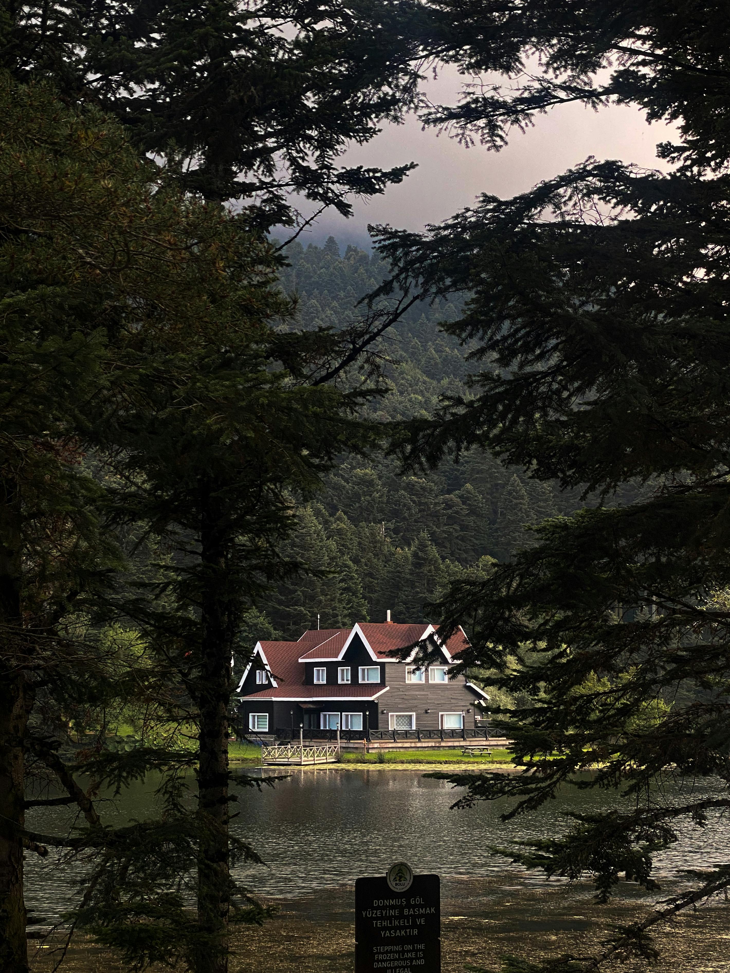 Lakeside house nestled among trees with mountain view, perfect for nature lovers.