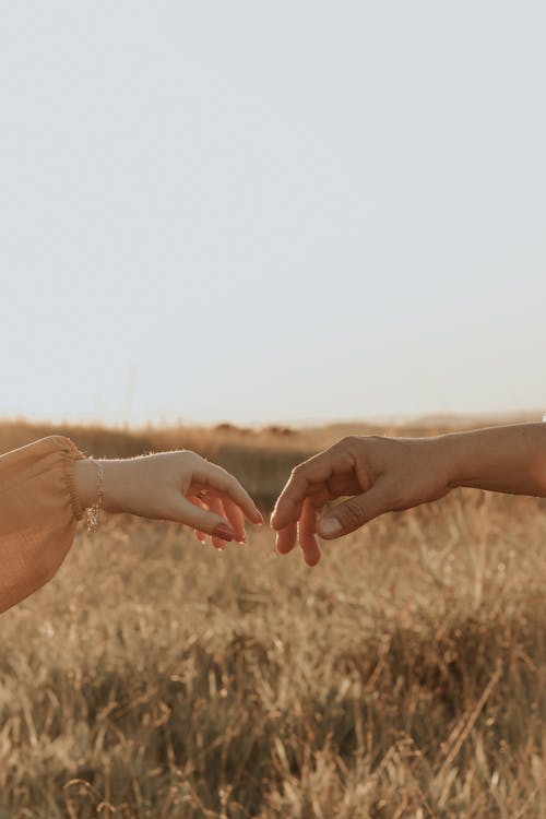 Free Couple Hands over Field Stock Photo