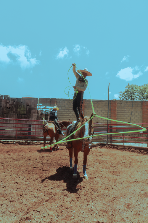 mexico · Free Stock Photo