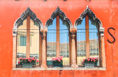 Flowers on Windows