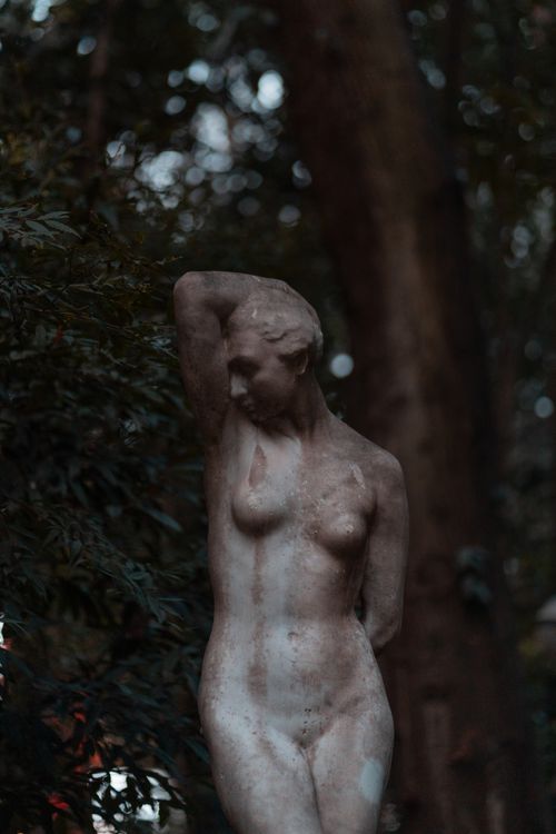 Free A classic marble statue surrounded by rich greenery in a serene forest backdrop. Stock Photo