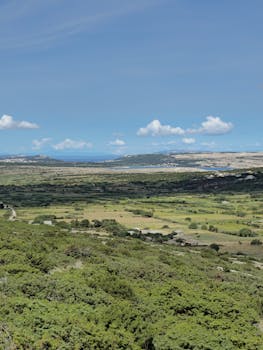 A breathtaking aerial view of a lush rural valley with fields, forests, and distant hills under a clear blue sky.