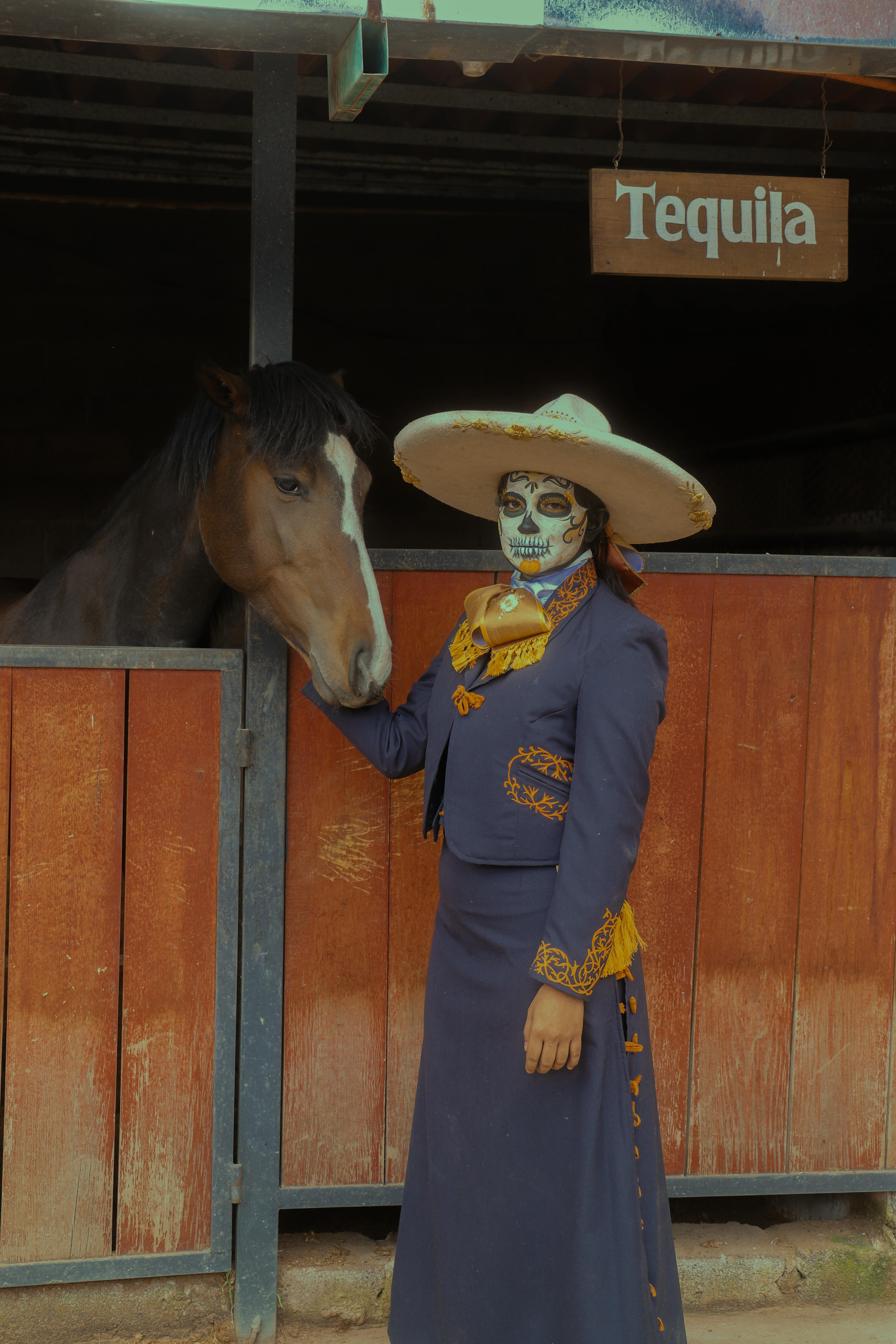 무료 charro, ID, latam의 무료 스톡 사진