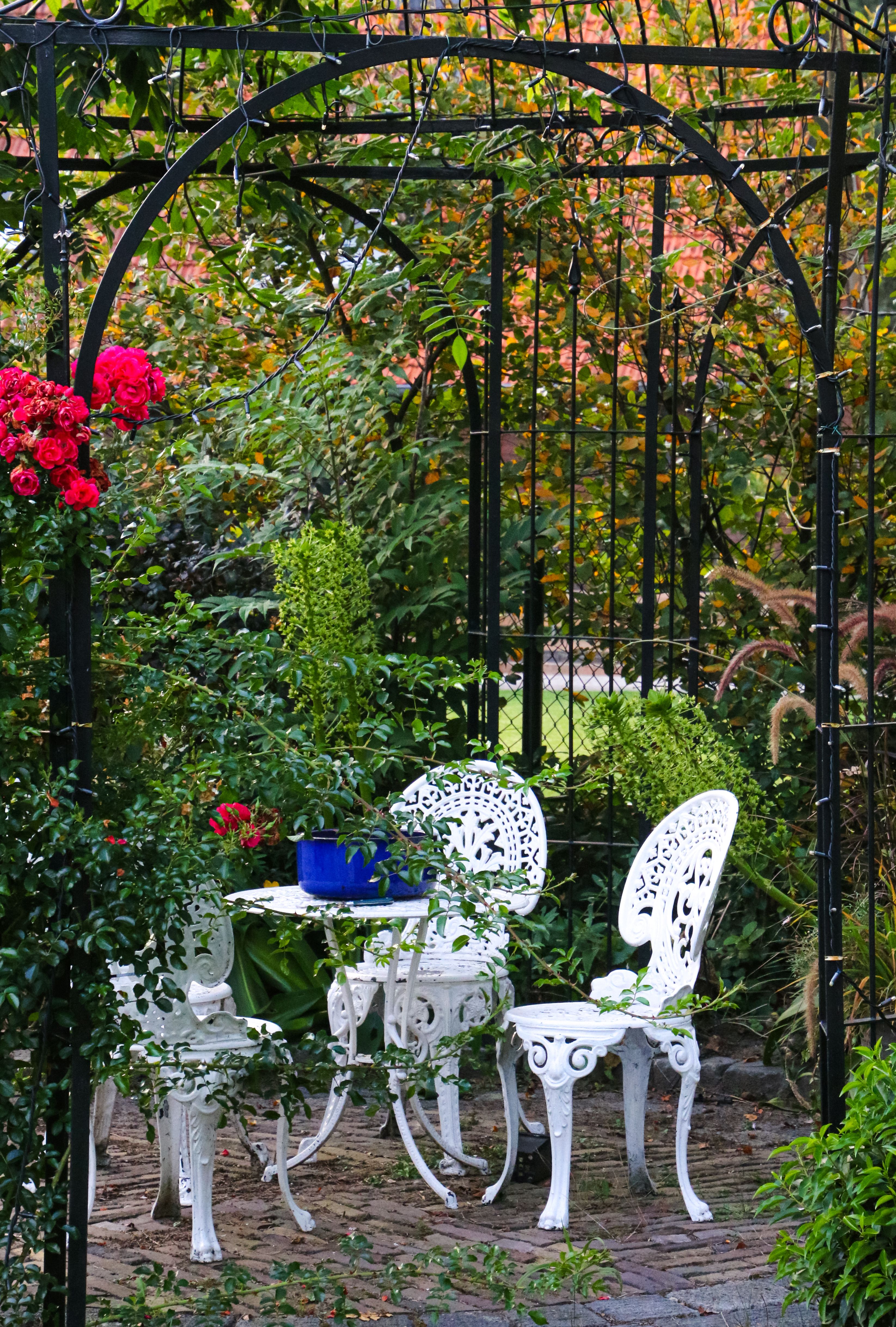 A Table in a Park · Free Stock Photo