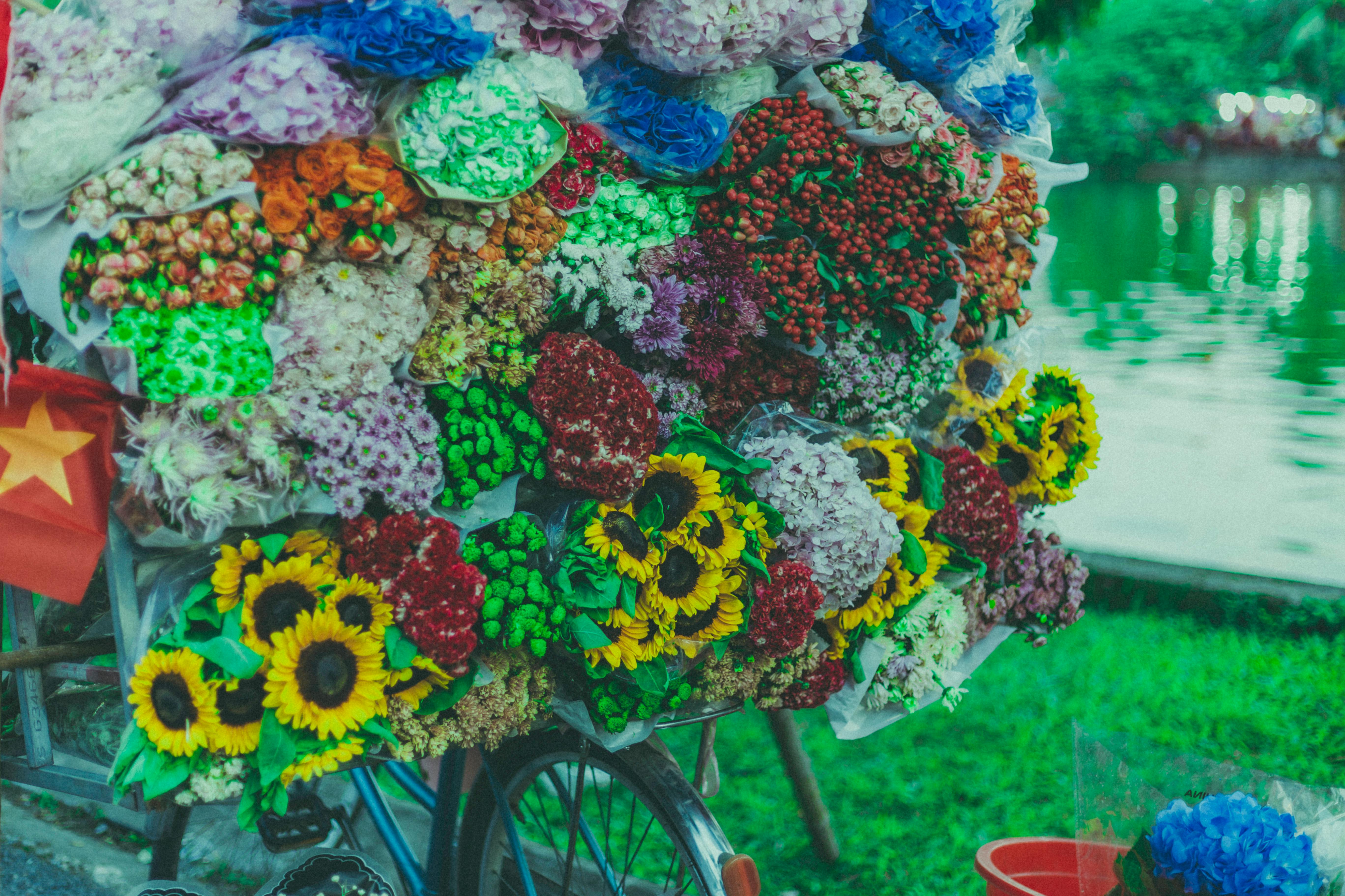 Colorful flower bouquet arrangement on a bicycle by a riverside, symbolizing urban floral life.
