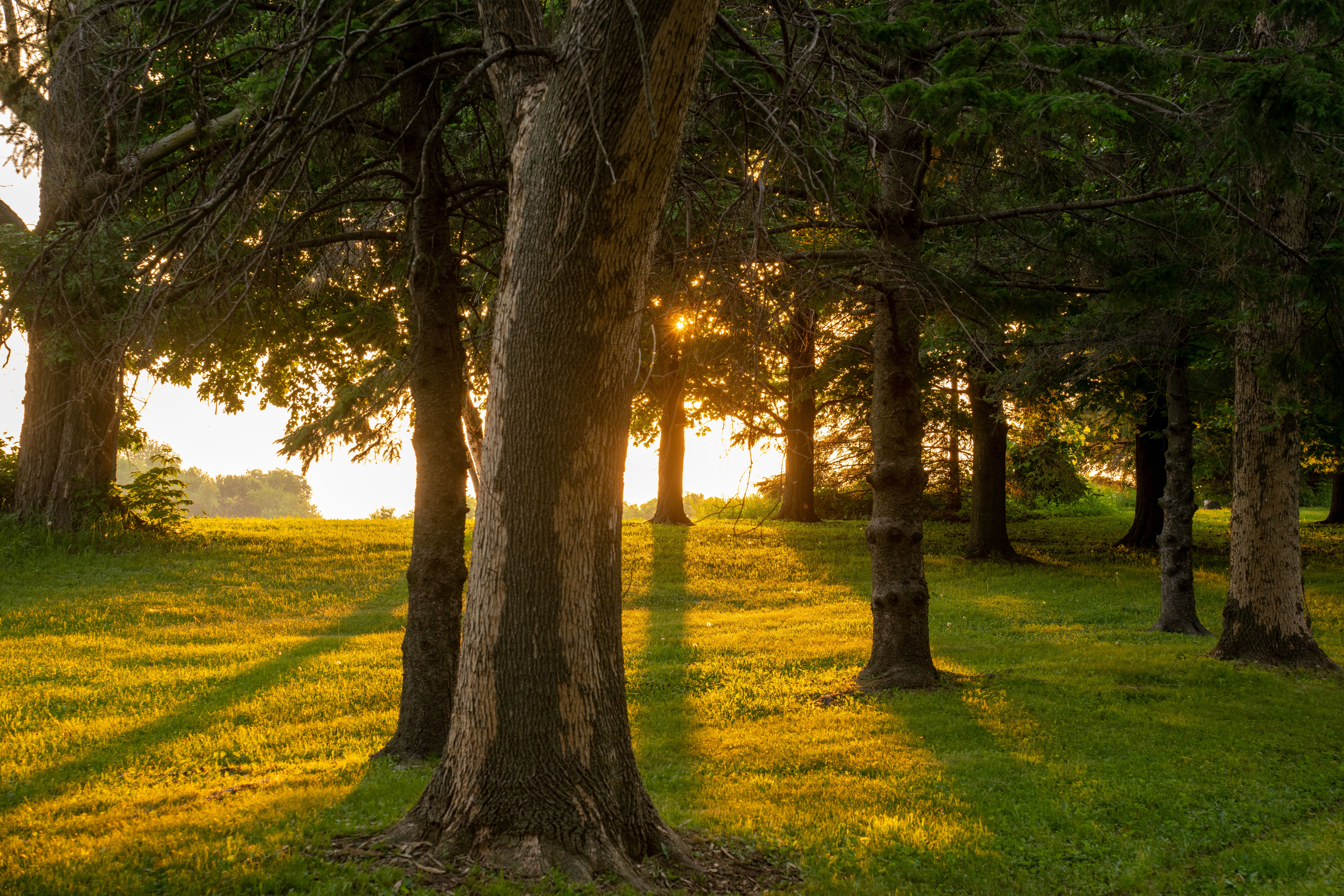 Foto de stock gratuita sobre al aire libre, alba, amanecer, américa del ...