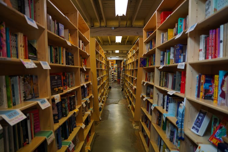 Bookcase With Books In Library