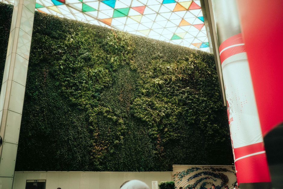indoor plant installation for austin businesses
