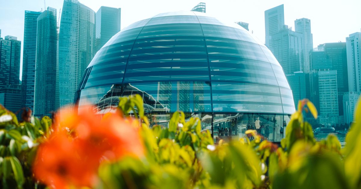 Comment les villes intelligentes contribuent à l'avenir écologique