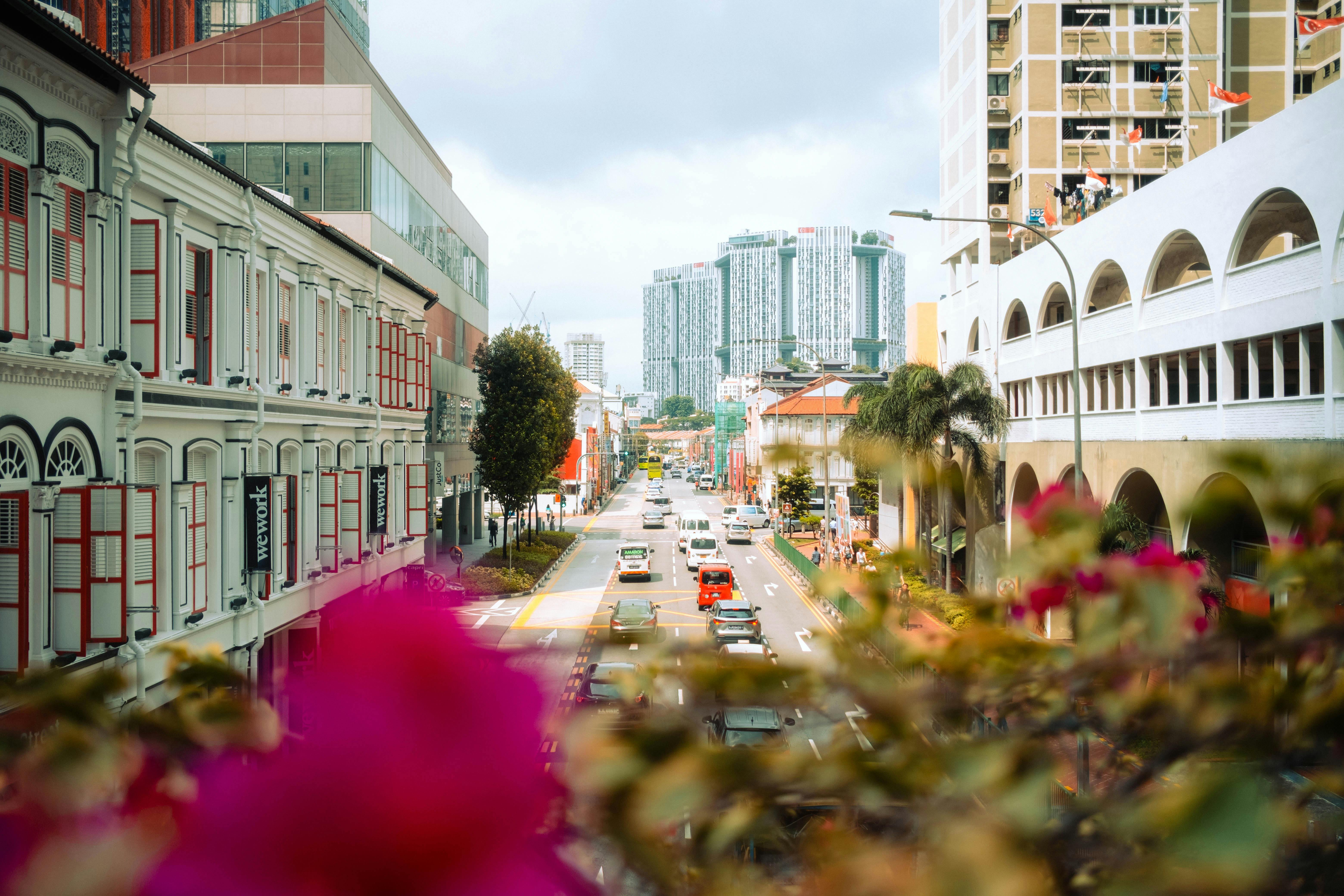 Tips on buying a used car in Singapore, Lifestyle News — Photo by Fabian Reck on Pexels