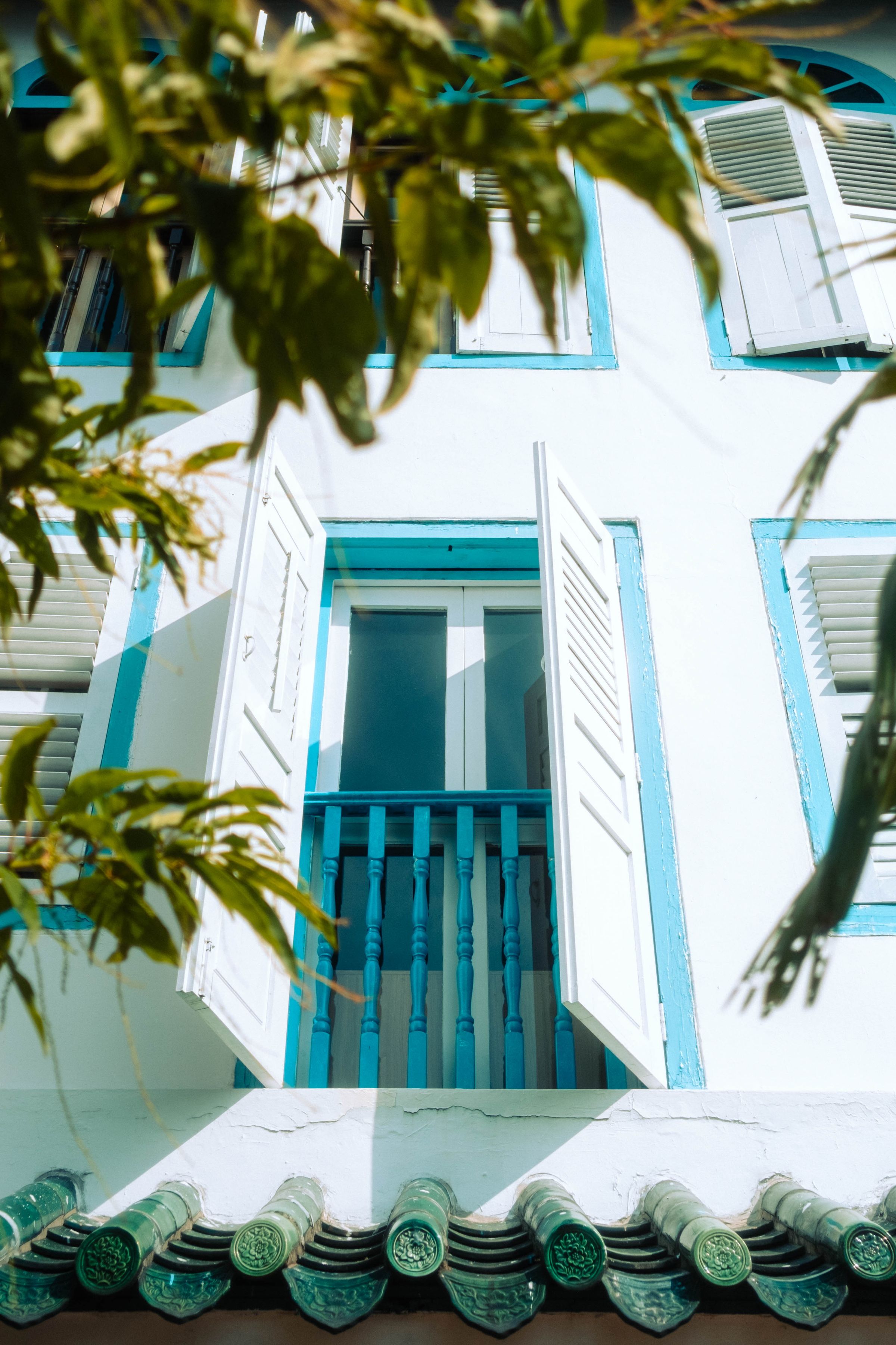 A tropical house with white wooden shutters, low-angle view through leafy branches