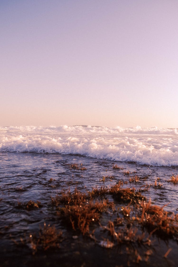 Foam Of Braking Waves