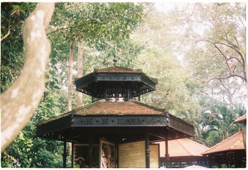 Free A tranquil pavilion surrounded by lush greenery in a serene park setting. Stock Photo
