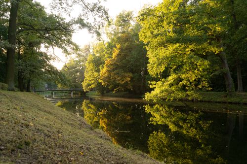 Free Peaceful riverside scenery with lush greenery and reflections in a tranquil park setting. Stock Photo