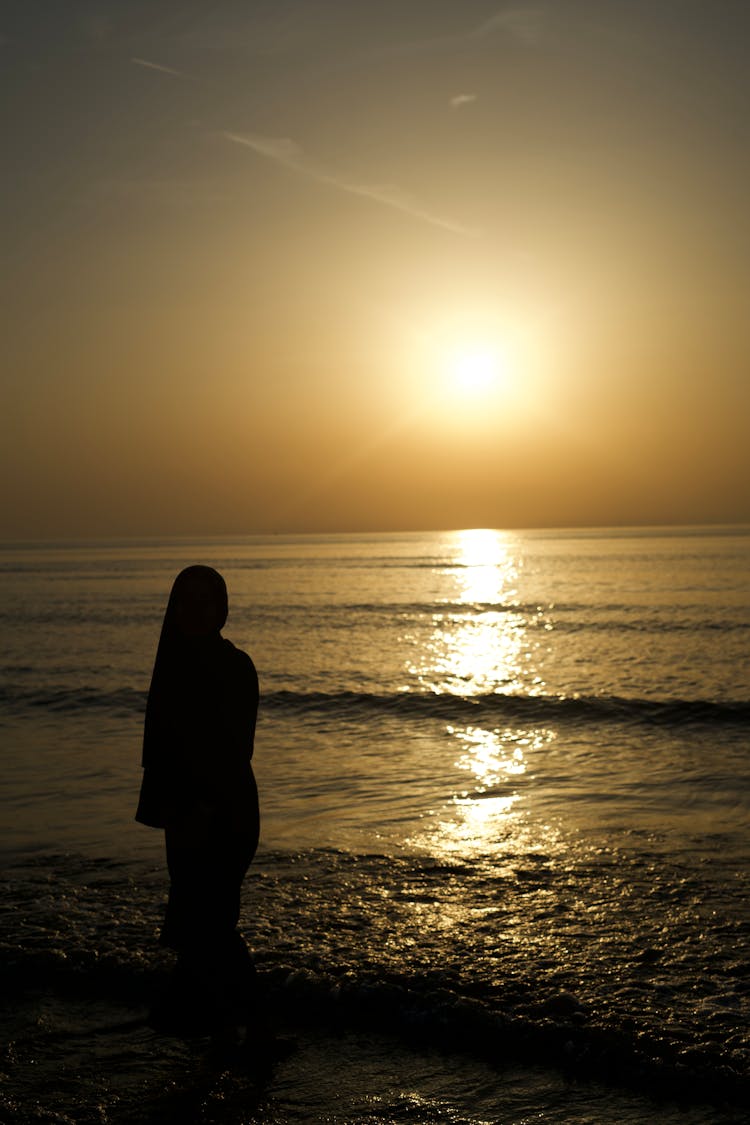 Silhouette Of Person Standing On Sea Shore At Sunset