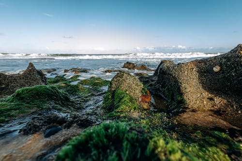 地平線, 岩石, 岸邊 的 免费素材图片