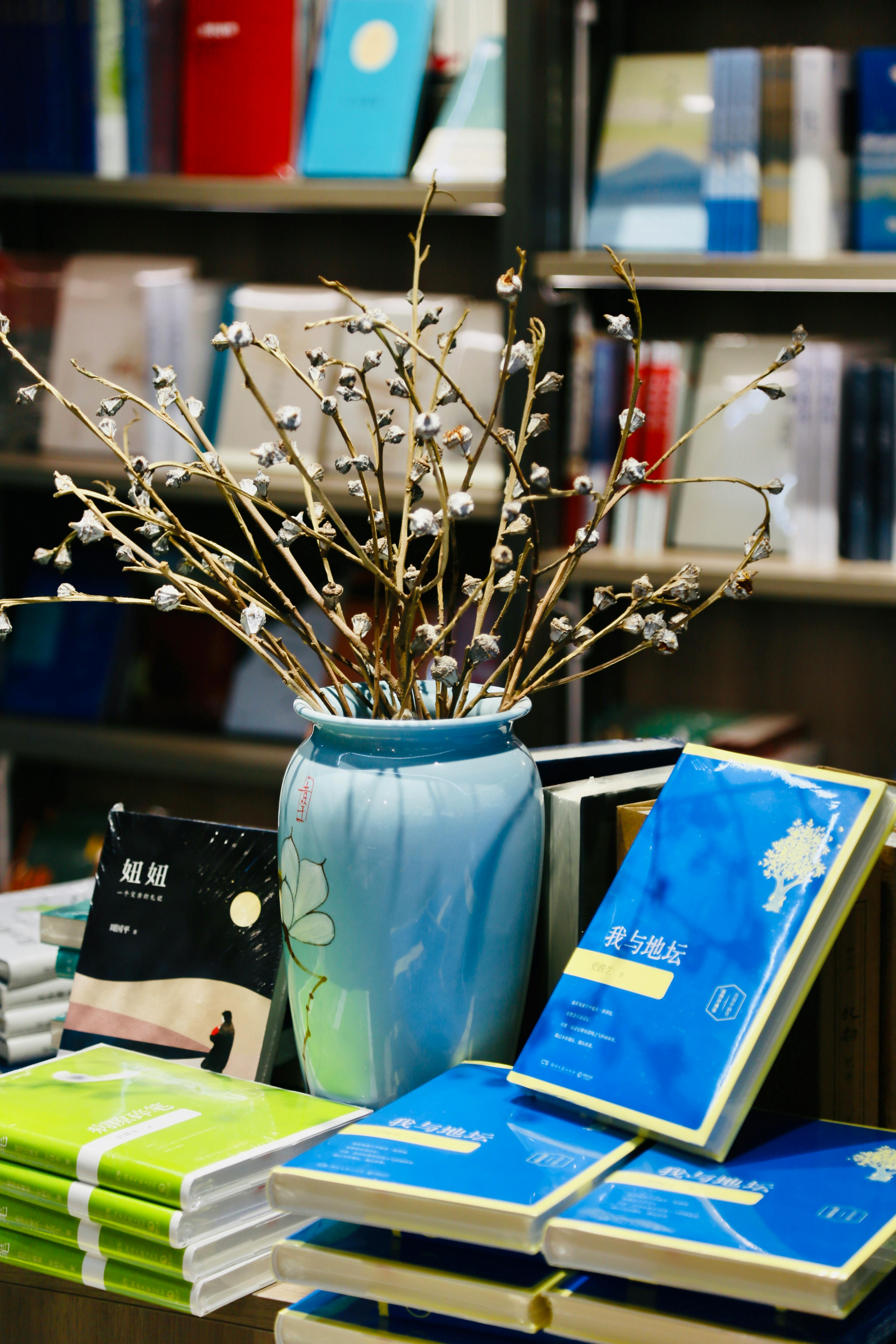 Books Displayed in Bookstore next to Blue Vase · Free Stock Photo