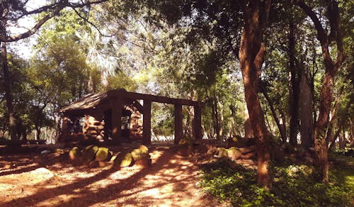 Free stock photo of abandoned building, park