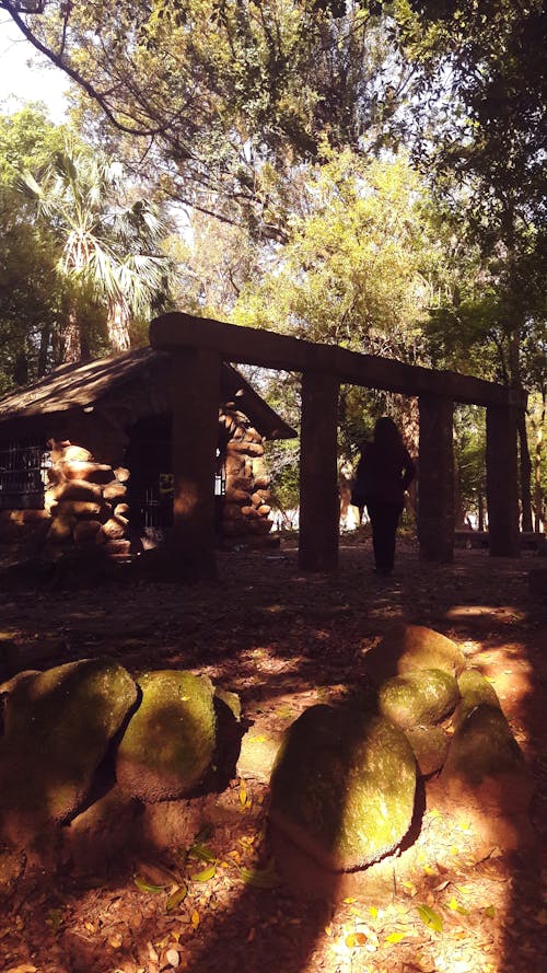 Free stock photo of abandoned building, park