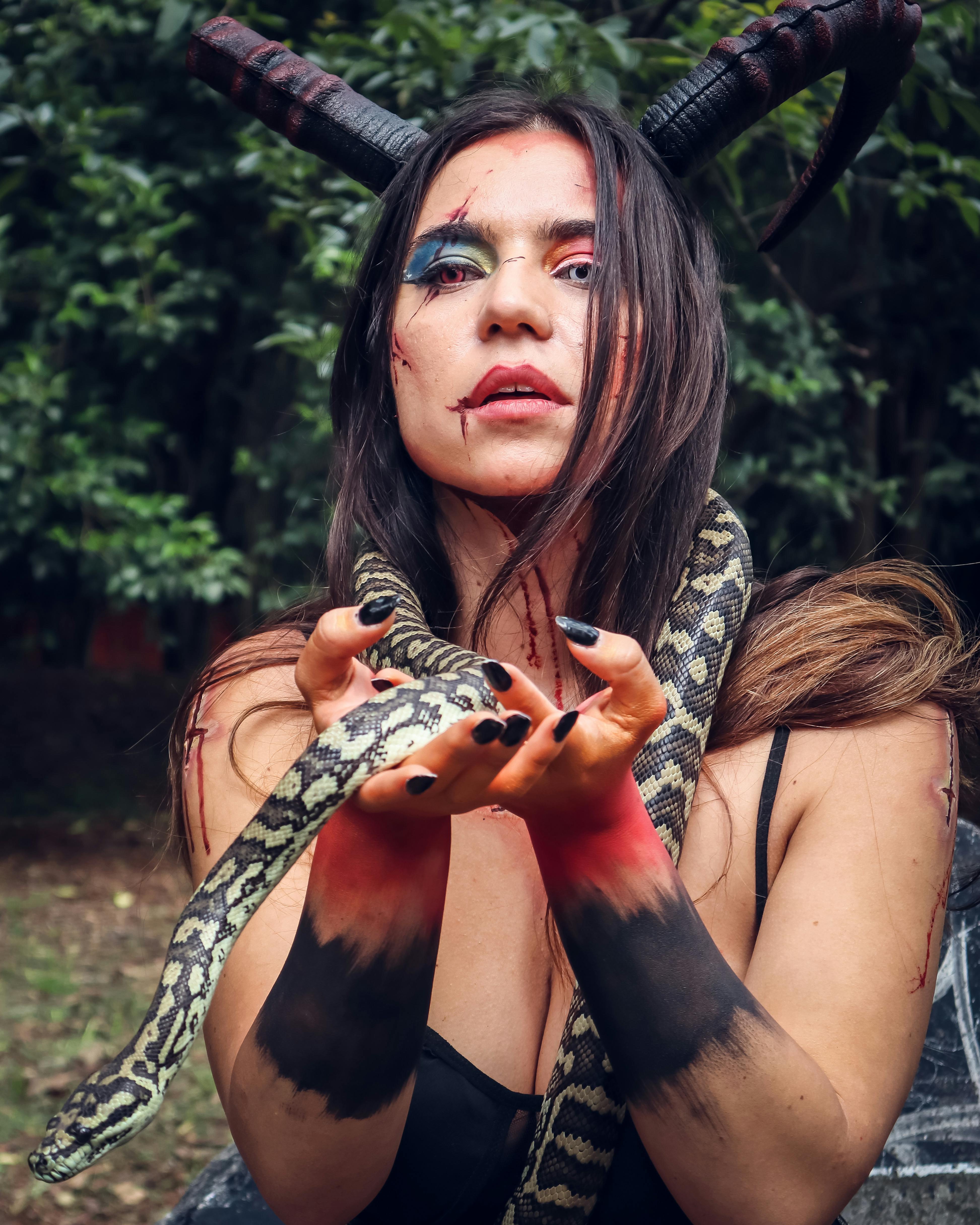 grátis Foto profissional grátis de alegre, ameaça, animal Foto profissional