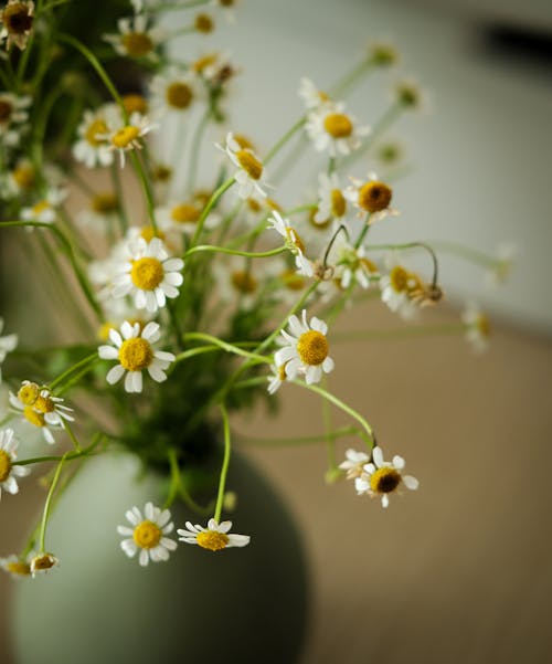 Kostenloses Stock Foto zu blumen, blumengesteck, dekoration