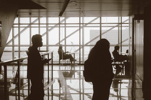 Foto profissional grátis de aeroporto, arquitetura contemporânea, copo