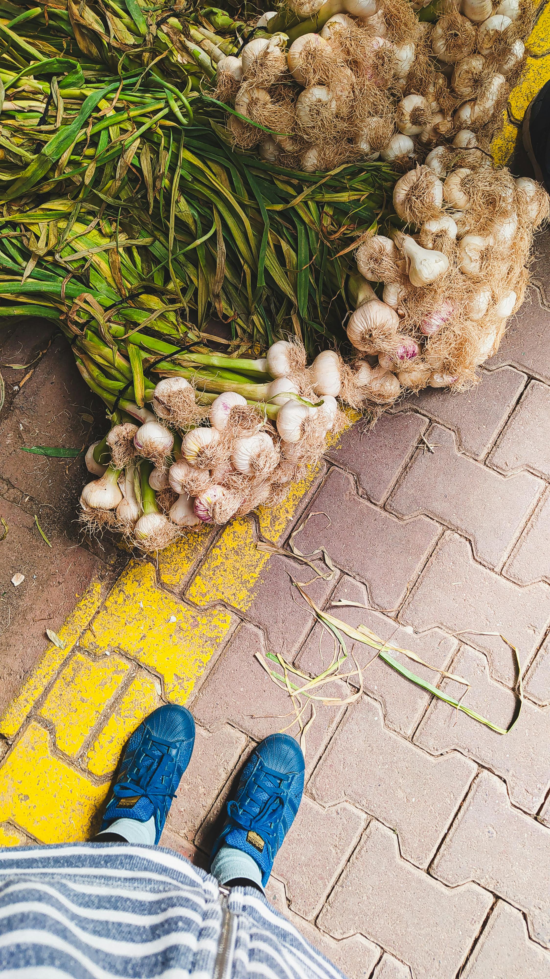 Bunches of Fresh Onions on Pavement