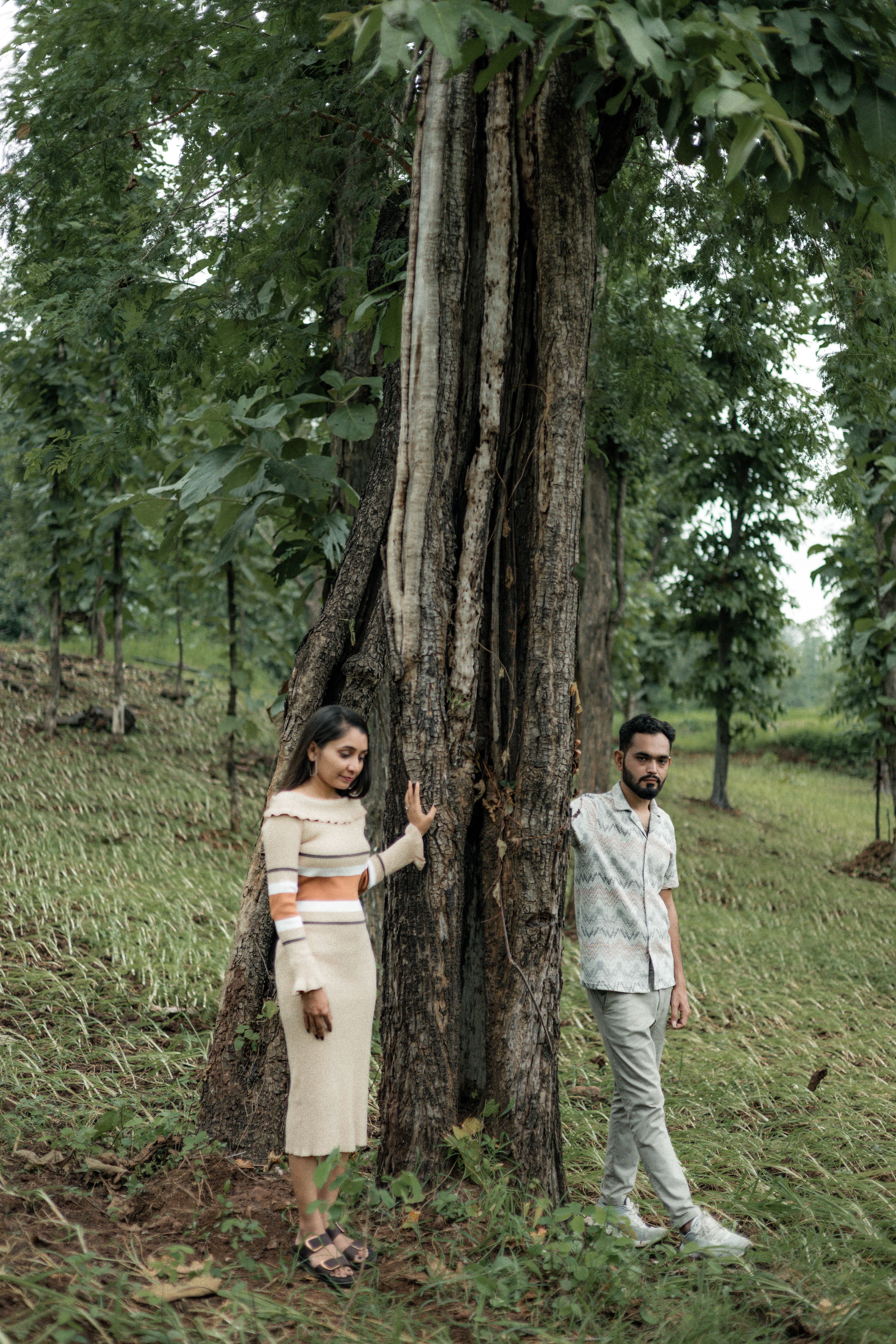 Couple Standing by Tree in Forest · Free Stock Photo