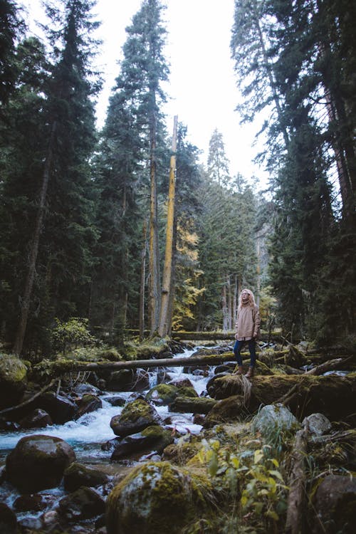 Photo of Person Standing On Rock