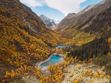 山谷、清澈的湖泊和白雪皑皑的山峰间，洋溢着秋天充满活力的色彩