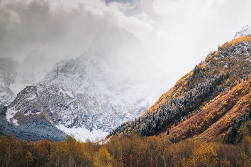 Kostnadsfri bild av berg, dagsljus, falla