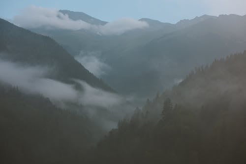 Free Photo of Mountains On A Foggy Day Stock Photo