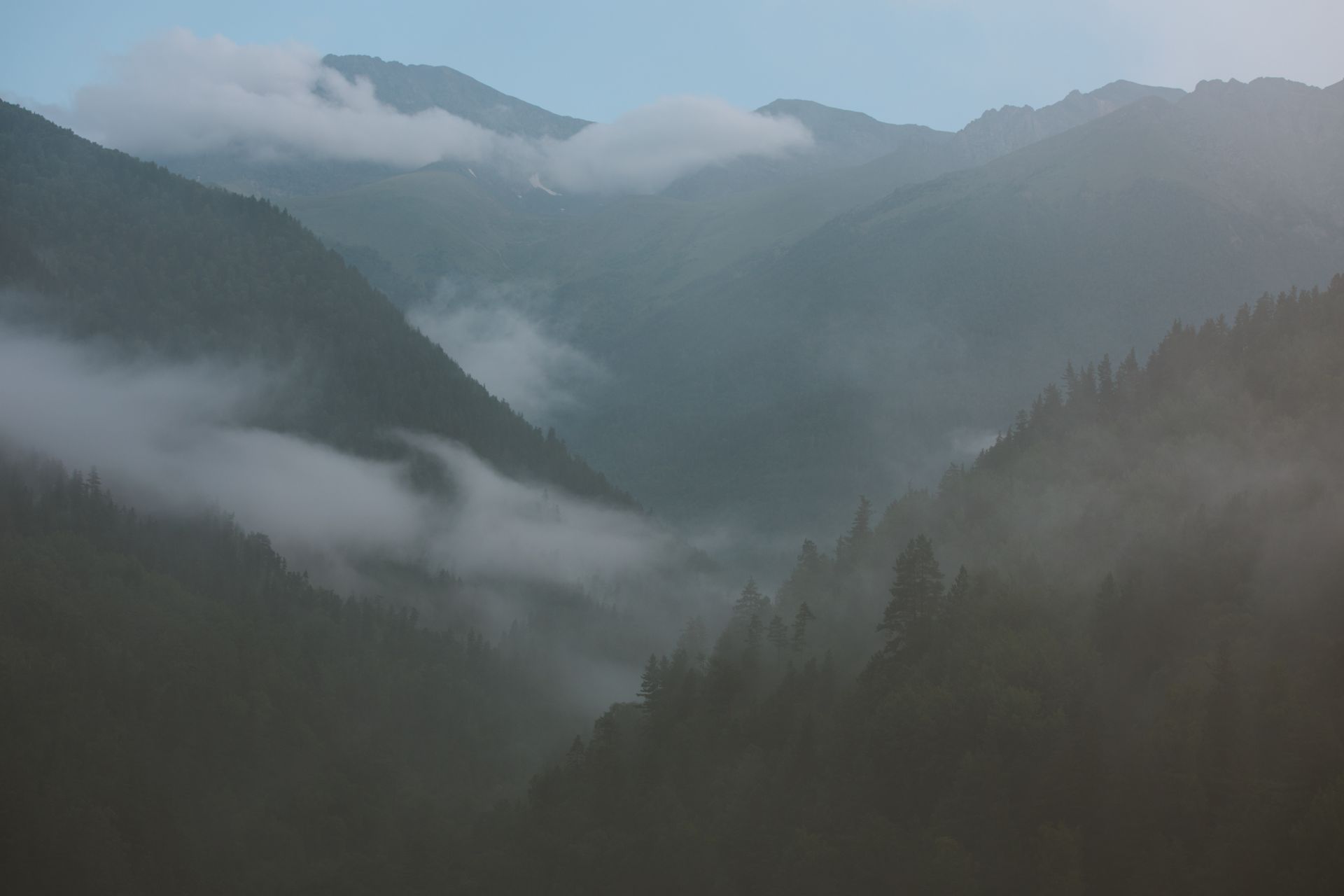 Tranquil misty mountain landscape with foggy valleys and serene nature view.